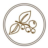 fruits design N101