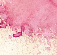 Abstract colorful painted watercolor splash and stain N11