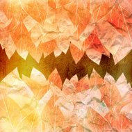 graphic floral retro pattern N3