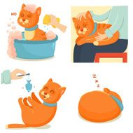 Cat life Cute red cat adventures