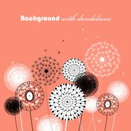 beautiful dandelions N3