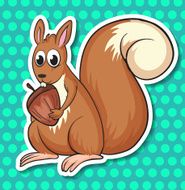 squirrel N26