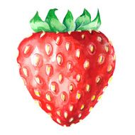 strawberry watercolor isolated on white