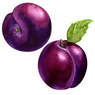 tasty plums