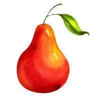 tasty pear