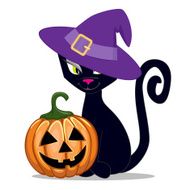 Black Cat N62