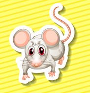 rat N6