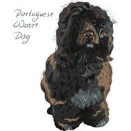 vector Portuguese Water Dog