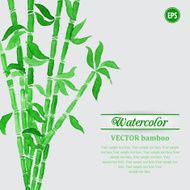 Green watercolor bamboo branches N2