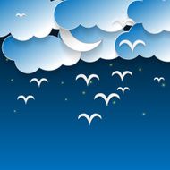Night Sky N24