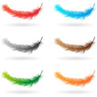 feather N55