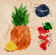 Fruit watercolor pineapple bramble red currant kraft