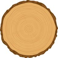 tree rings N3