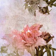 Floral Design N154