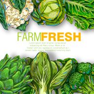 Fresh vegetables N3