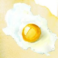 fried egg isolated