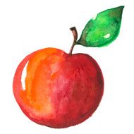 Watercolor apple N8