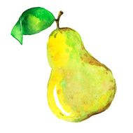 Watercolor pear N7