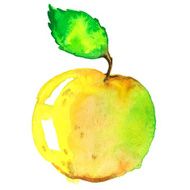 Watercolor apple N9
