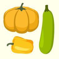 Vegetables Vector illustration