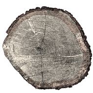 Tree x-section