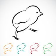 Vector image of an chick