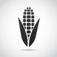 Corn icon isolated on white background