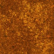 abstract grunge background of old stone texture N4