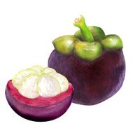 tropical mangosteen fruit on white background