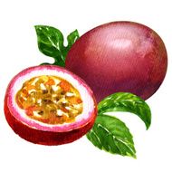 passion fruit isolated