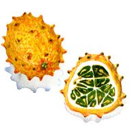 Tropical fruit Kiwano isolated on white background