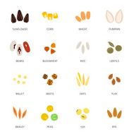 Seed Icon Flat