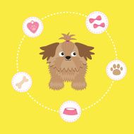 Little Shih Tzu and dog stuff Dash line circle