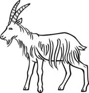 Billy Goat N2