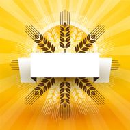 grain with label and sun