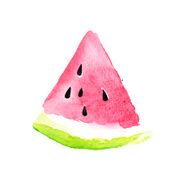 watermelon watercolor illustration