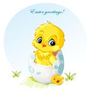 Young chick in egg N2