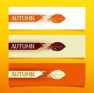 Autumn banners N21
