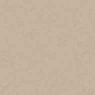 Vector cardboard texture N3