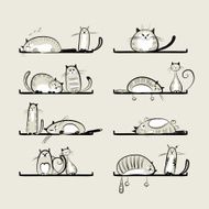 Funny cats on shelves N2