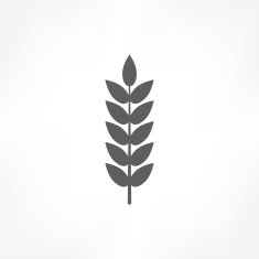 Wheat Icon N11