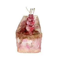 Hand painted watercolor cherry cake Vector illustration