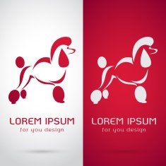 Vector image of an poodle dog design