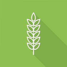 Wheat Icon N12