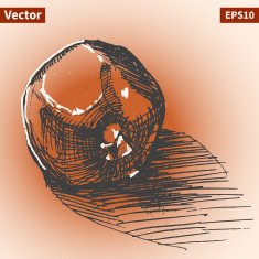 Vector sketch of garnet Illustration for your design N7