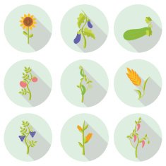 crops flat icons