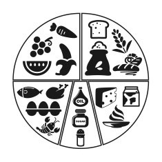 health food group info graphic icon vector N2