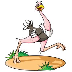 ostrich cartoon N2