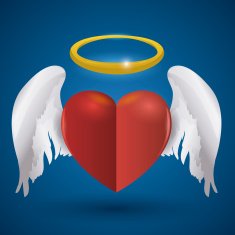 Angel Design N47
