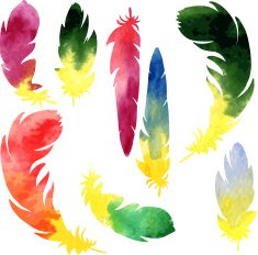 set of watercolor silhouette feathers